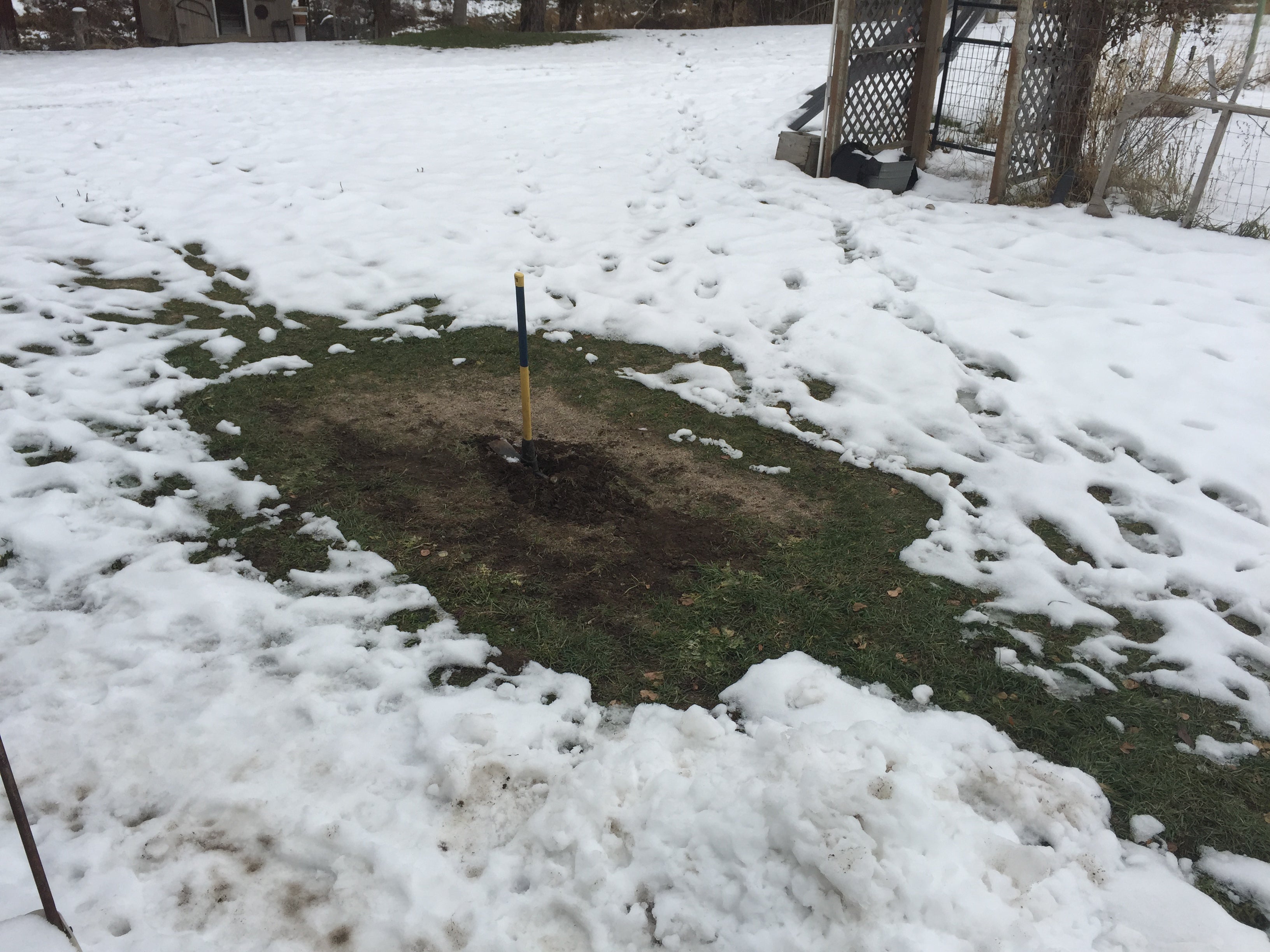finding a septic field in the winter